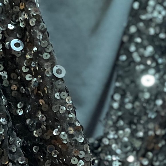 Silver sequined Maxi Dress Sz. 12/14 - Picture 5 of 8